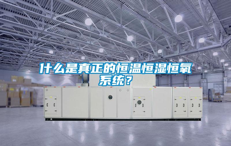 什么是真正的恒溫恒濕恒氧系統(tǒng)？
