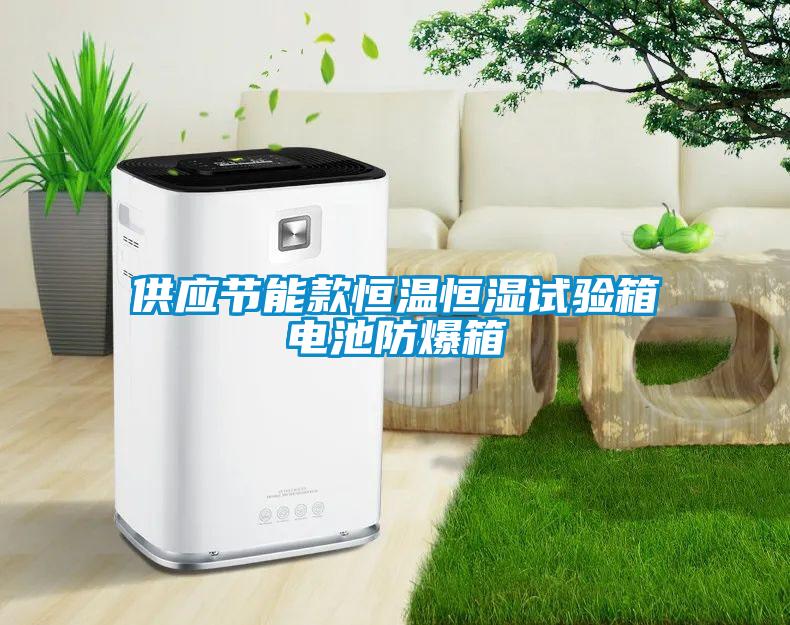 供應節(jié)能款恒溫恒濕試驗箱電池防爆箱