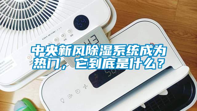 中央新風除濕系統(tǒng)成為熱門，它到底是什么？