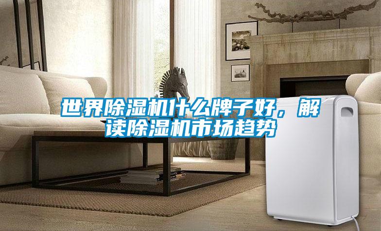 世界除濕機什么牌子好，解讀除濕機市場趨勢