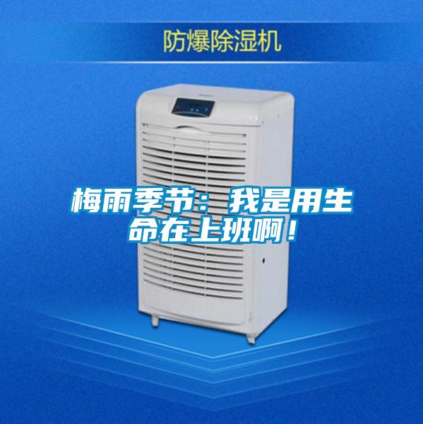 梅雨季節(jié)：我是用生命在上班??！