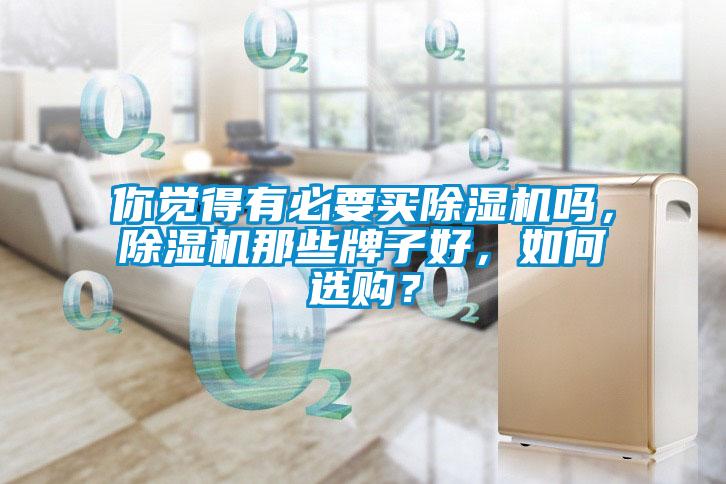 你覺得有必要買除濕機嗎，除濕機那些牌子好，如何選購？
