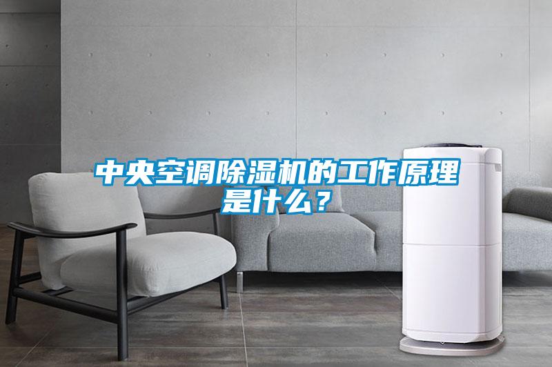 中央空調(diào)除濕機的工作原理是什么？