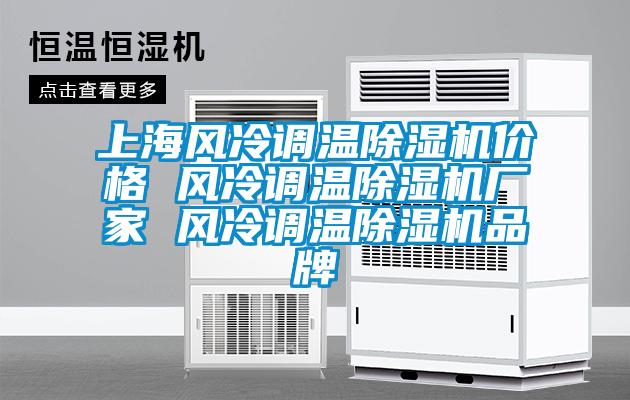 上海風(fēng)冷調(diào)溫除濕機價格 風(fēng)冷調(diào)溫除濕機廠家 風(fēng)冷調(diào)溫除濕機品牌