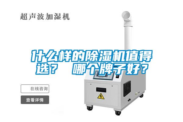 什么樣的除濕機值得選？ 哪個牌子好？