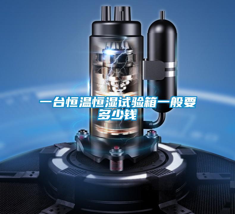 一臺(tái)恒溫恒濕試驗(yàn)箱一般要多少錢