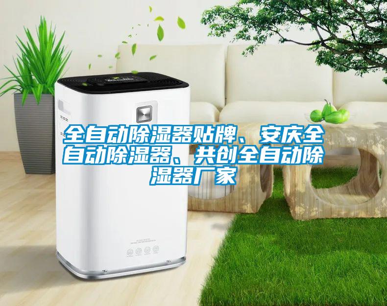 全自動(dòng)除濕器貼牌、安慶全自動(dòng)除濕器、共創(chuàng)全自動(dòng)除濕器廠家