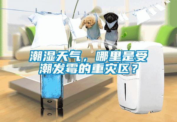 潮濕天氣，哪里是受潮發(fā)霉的重災(zāi)區(qū)？