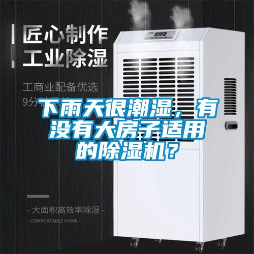 下雨天很潮濕，有沒有大房子適用的除濕機(jī)？