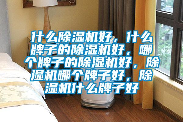 什么除濕機好，什么牌子的除濕機好，哪個牌子的除濕機好，除濕機哪個牌子好，除濕機什么牌子好