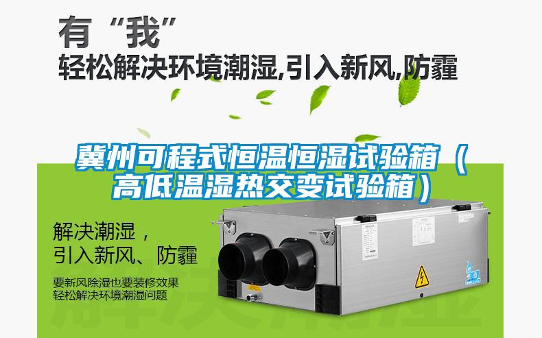 冀州可程式恒溫恒濕試驗(yàn)箱（高低溫濕熱交變?cè)囼?yàn)箱）