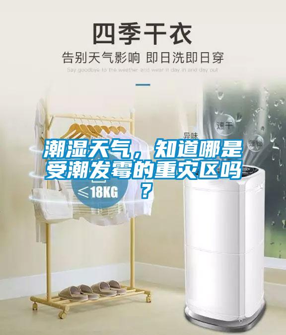 潮濕天氣，知道哪是受潮發(fā)霉的重災(zāi)區(qū)嗎？