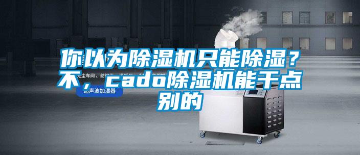你以為除濕機只能除濕？不，cado除濕機能干點別的