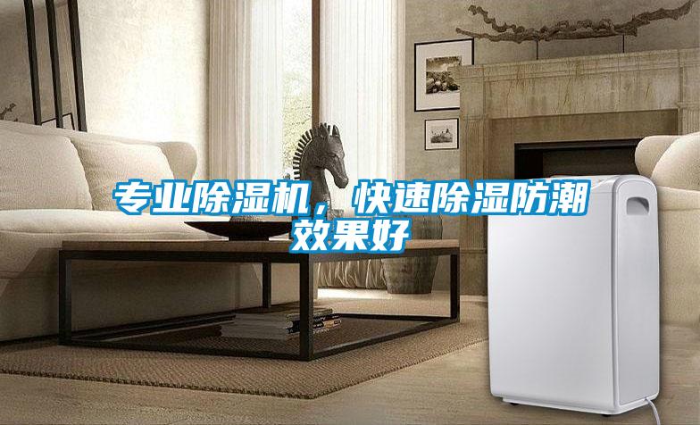 專業(yè)除濕機，快速除濕防潮效果好