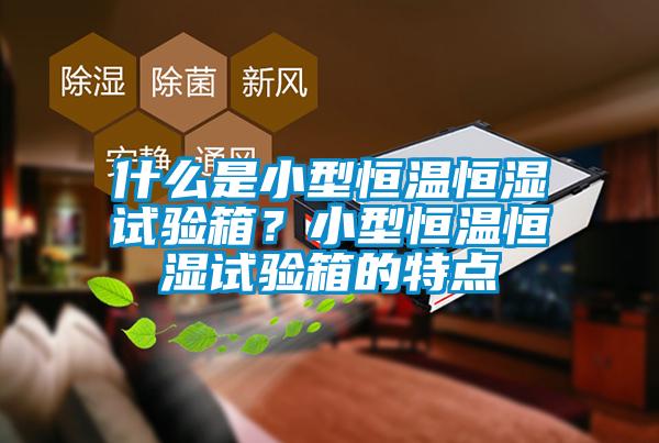 什么是小型恒溫恒濕試驗箱？小型恒溫恒濕試驗箱的特點