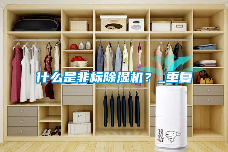 什么是非標除濕機？_重復