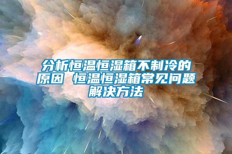 分析恒溫恒濕箱不制冷的原因 恒溫恒濕箱常見問(wèn)題解決方法