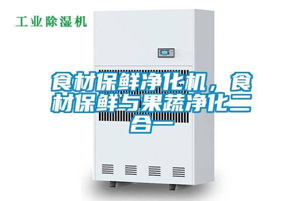 食材保鮮凈化機，食材保鮮與果蔬凈化二合一