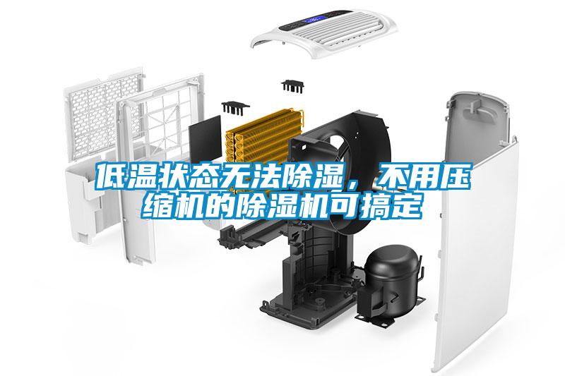 低溫狀態(tài)無法除濕，不用壓縮機的除濕機可搞定