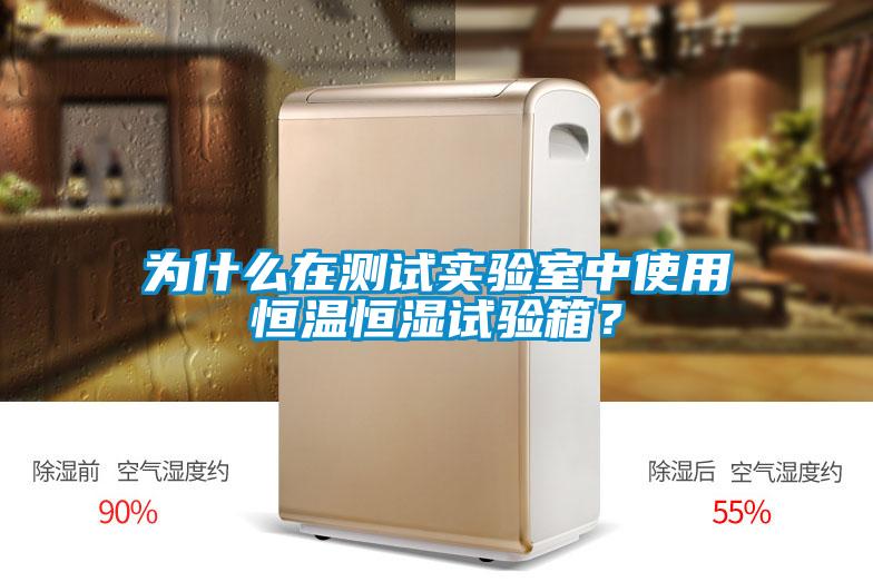 為什么在測(cè)試實(shí)驗(yàn)室中使用恒溫恒濕試驗(yàn)箱？