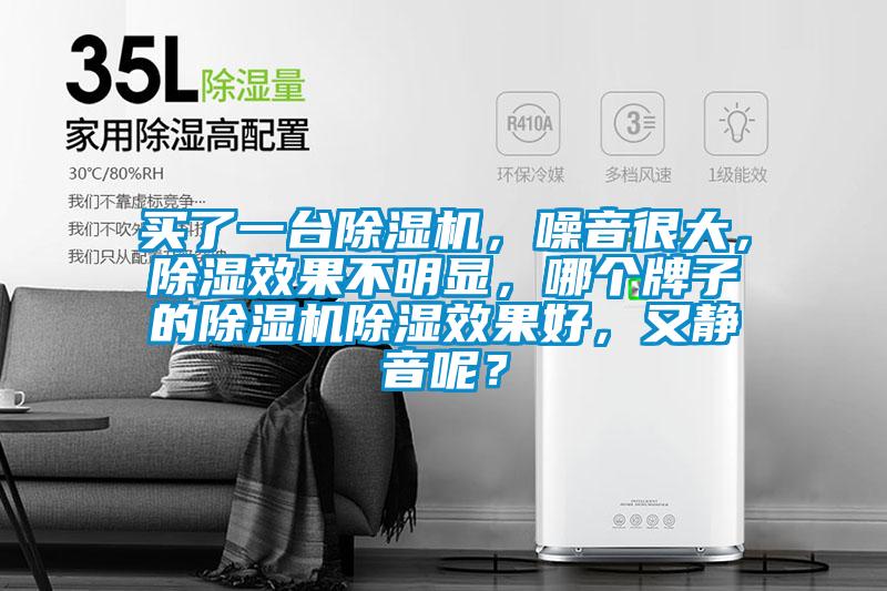 買了一臺除濕機，噪音很大，除濕效果不明顯，哪個牌子的除濕機除濕效果好，又靜音呢？
