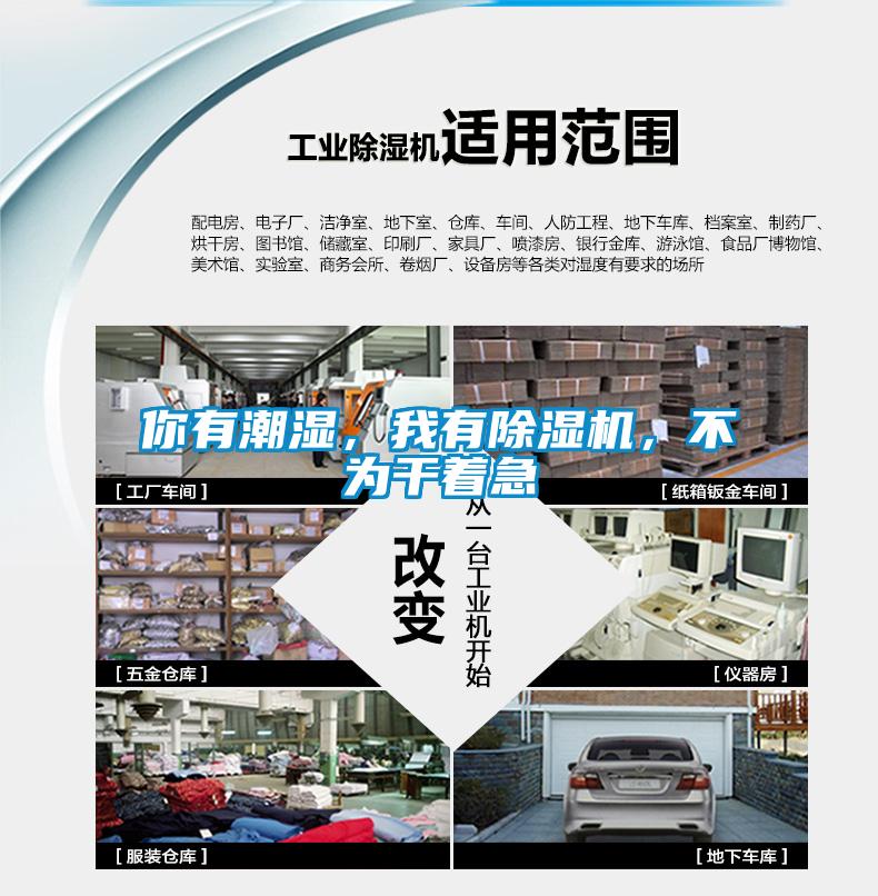 你有潮濕，我有除濕機，不為干著急