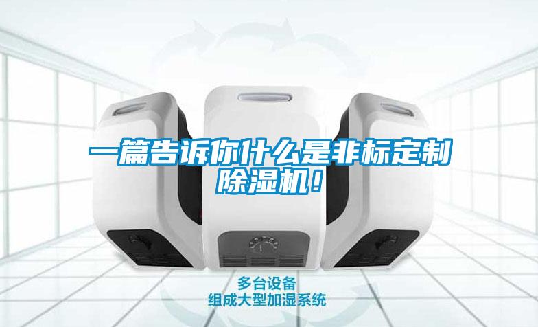 一篇告訴你什么是非標(biāo)定制除濕機(jī)！