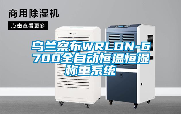 烏蘭察布WRLDN-6700全自動(dòng)恒溫恒濕稱(chēng)重系統(tǒng)
