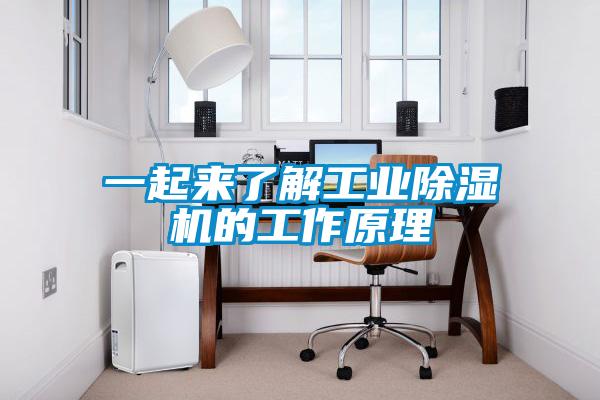 一起來(lái)了解工業(yè)除濕機(jī)的工作原理