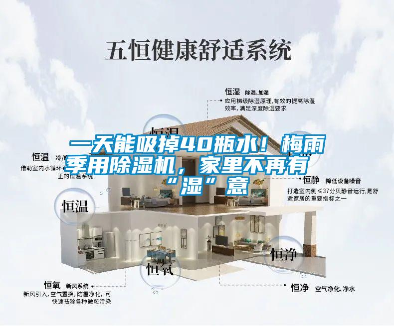 一天能吸掉40瓶水！梅雨季用除濕機(jī)，家里不再有“濕”意