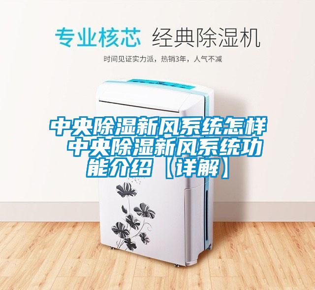 中央除濕新風系統(tǒng)怎樣 中央除濕新風系統(tǒng)功能介紹【詳解】