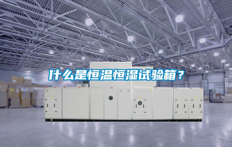 什么是恒溫恒濕試驗(yàn)箱？