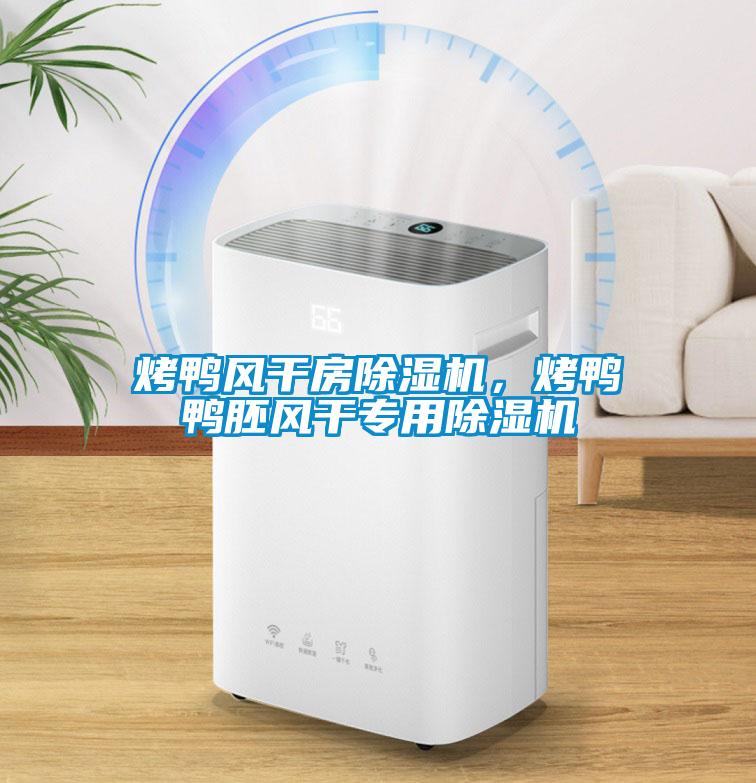 烤鴨風(fēng)干房除濕機(jī)，烤鴨鴨胚風(fēng)干專用除濕機(jī)