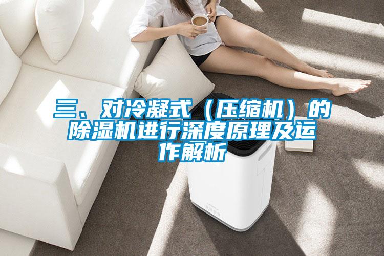 三、對冷凝式（壓縮機(jī)）的除濕機(jī)進(jìn)行深度原理及運(yùn)作解析