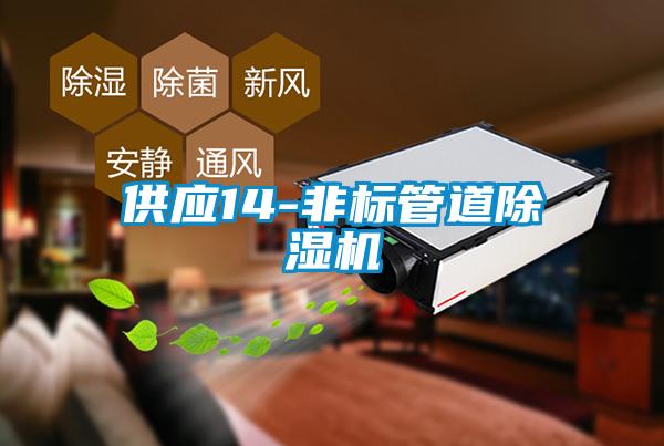 供應(yīng)14-非標管道除濕機