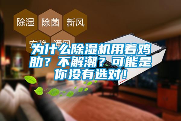 為什么除濕機(jī)用著雞肋？不解潮？可能是你沒有選對！