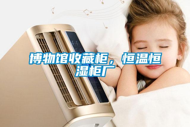 博物館收藏柜，恒溫恒濕柜廠