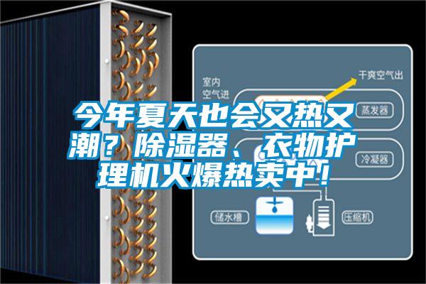 今年夏天也會又熱又潮？除濕器、衣物護理機火爆熱賣中！