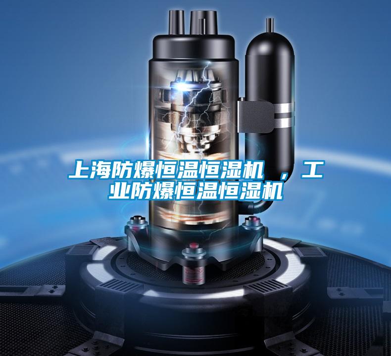 上海防爆恒溫恒濕機(jī) ，工業(yè)防爆恒溫恒濕機(jī)