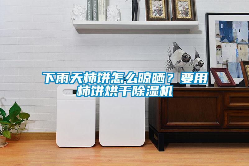 下雨天柿餅怎么晾曬？要用柿餅烘干除濕機(jī)