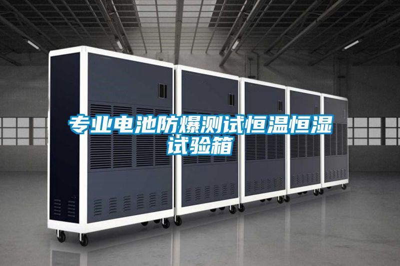 專業(yè)電池防爆測試恒溫恒濕試驗箱