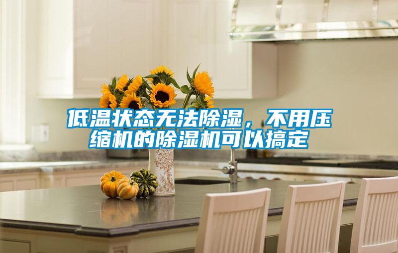低溫狀態(tài)無法除濕，不用壓縮機的除濕機可以搞定