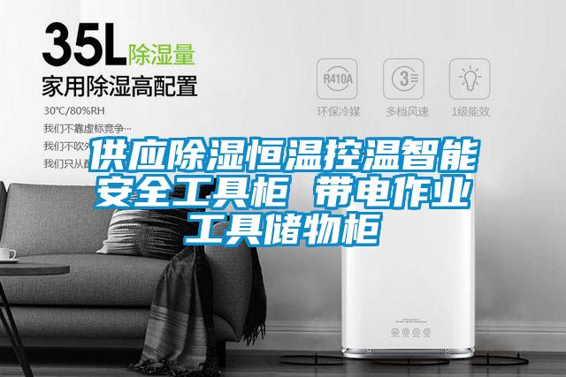 供應除濕恒溫控溫智能安全工具柜 帶電作業(yè)工具儲物柜