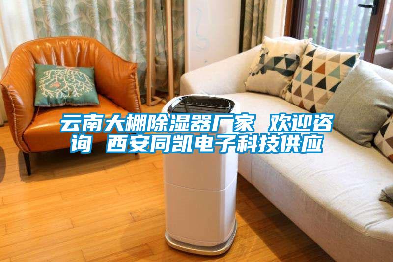 云南大棚除濕器廠家 歡迎咨詢(xún) 西安同凱電子科技供應(yīng)