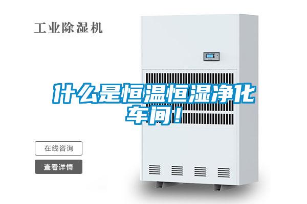 什么是恒溫恒濕凈化車間！