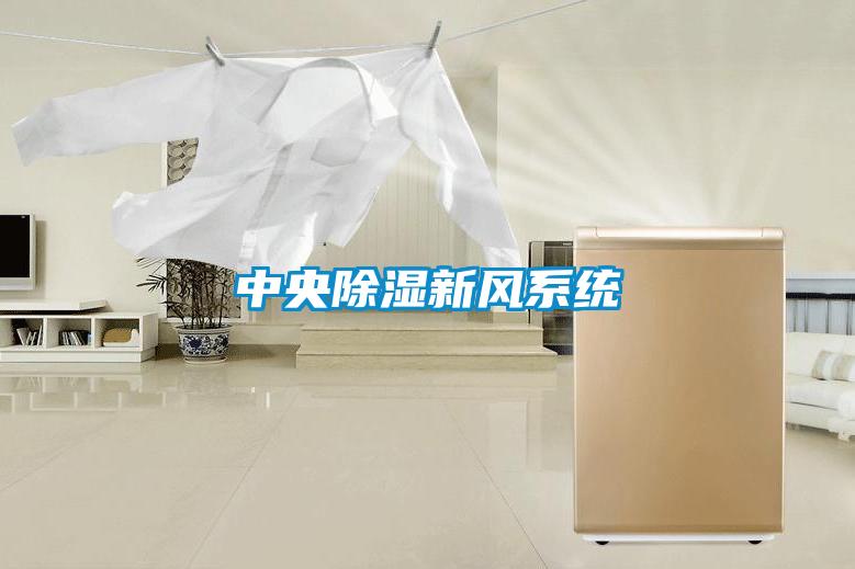 中央除濕新風系統(tǒng)