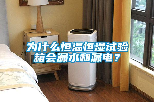 為什么恒溫恒濕試驗箱會漏水和漏電？