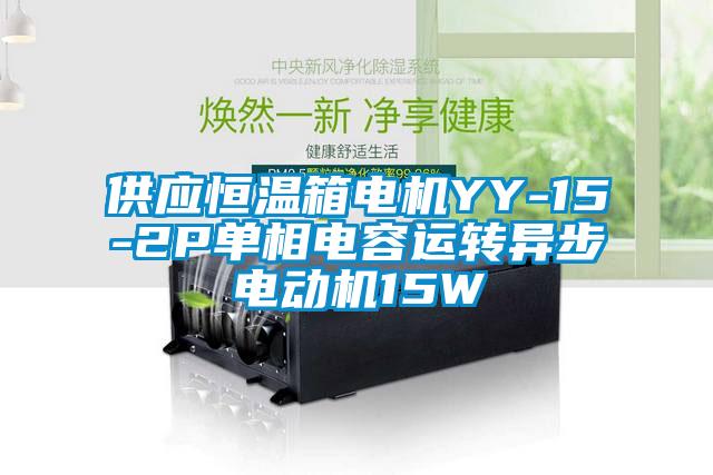 供應(yīng)恒溫箱電機(jī)YY-15-2P單相電容運轉(zhuǎn)異步電動機(jī)15W