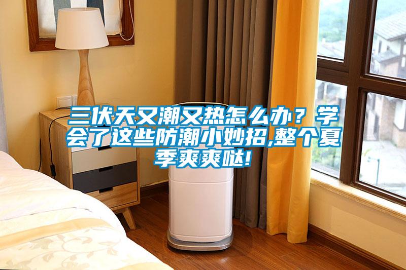 三伏天又潮又熱怎么辦？學(xué)會了這些防潮小妙招,整個夏季爽爽噠!