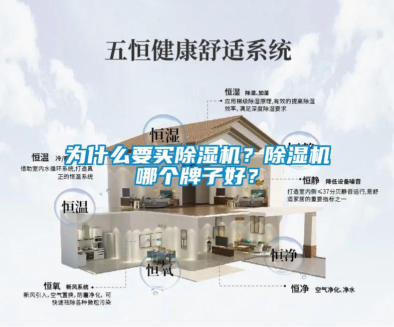 為什么要買除濕機(jī)？除濕機(jī)哪個(gè)牌子好？